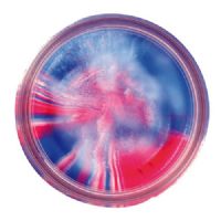 028632022481 - PowerBait med glimmer - CAPTAIN AMERICA (rød / hvid / blå)