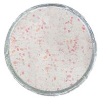 028632166017 - PowerBait med glimmer - WHITE  - GLOW 42% stærkere
Billedet nr.2 er taget med UV-lygte.