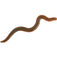 4005652007212 - Wiggle Worm - 8cm - 6 stk. - Flydende - Farve: Green Pumpkin/Amber Red - 133260003