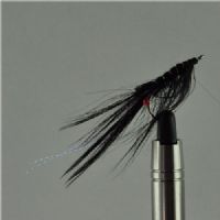 A0131 - Saltvands - Pattegrisen Spay Black - Farve: Sort - Str. : 6