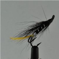 DBL0143 - Black Shrimp j.c - Str.6<br>