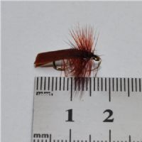 DRY0112 - Horned Sedge - Str.14<br>