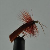 DRY0112 - Horned Sedge - Str.14<br>