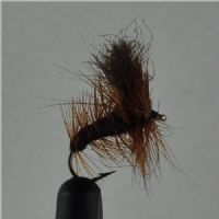 DRY0114 - Nalle Puh - Str.10<br>