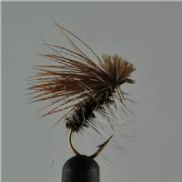DRY0121 - Elkhair Caddis - Str.12<br>