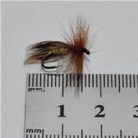 DRY0122 - europa 12 - Str.12<br>