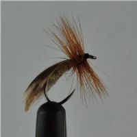 DRY0122 - europa 12 - Str.12<br>