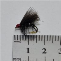 DRY0123 - Red Head Black Sedge - Str.12<br>