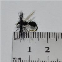DRY0124 - Flying Ant - Str.14<br>