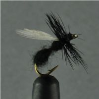 DRY0124 - Flying Ant - Str.14<br>