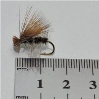 DRY0134 - Elkhair Caddis - Str.10<br>