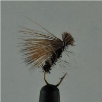 DRY0134 - Elkhair Caddis - Str.10<br>