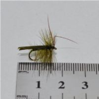 DRY0141 - Horned Sedge - Str.12<br>
