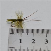 DRY0142 - Horned Sedge - Str.14<br>