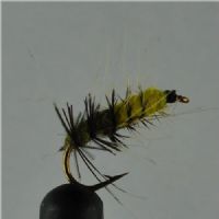 DRY0143 - Superpuppa Yellow Olive - Str.12<br>