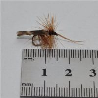 DRY0152 - Horned Sedge - Str.14<br>