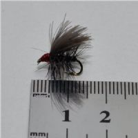 DRY0154 - Red Head Black Sedge - Str.14<br>