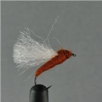 DRY0162 - Rackelhane - Str.12<br>