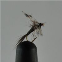 DRY0212 - Mosquito - Str.20<br>