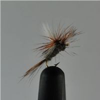 DRY0221 - Adams Parashute - Str.18<br>