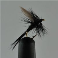 DRY0234 - Black Gnat Dry - Str.16<br>