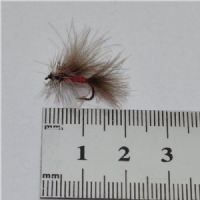 DRY0241 - Cdc Winged Caddis - Str14.<br>