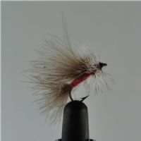 DRY0241 - Cdc Winged Caddis - Str14.<br>