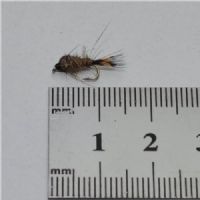 DRY0243 - G R Hares Ear Ny - Str.16<br>