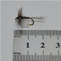DRY0253 - Mosquito - Str12<br>
