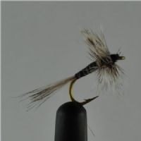 DRY0253 - Mosquito - Str12<br>