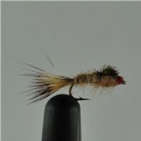 DRY0254 - G R Hares Ear Ny - Str.18<br>