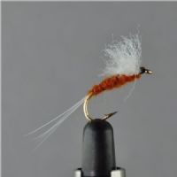 DRY0414 - Vulgata Spinner - Str.10<br>