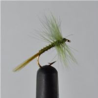 DRY0423 - Ephemera Dun Olive #14<br>