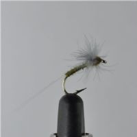 DRY0431 - CDC BWO Spinner - Str.12<br>