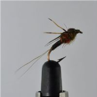 DRY0441 - Baetis Rhodani ny - Str.14<br>