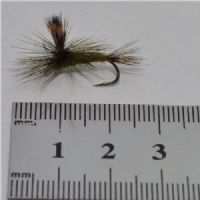DRY0462 - Danica Parashute Dun Sttr.10<br>