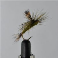 DRY0462 - Danica Parashute Dun Sttr.10<br>