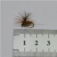 DRY0611 - Biot Aurivilli Parashute - Str.14<br>Cdc wing