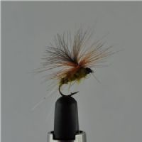 DRY0611 - Biot Aurivilli Parashute - Str.14<br>Cdc wing