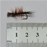 DRY0612 - Dyret The Animal - Str.10<br>