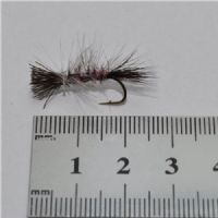 DRY0613 - Dyret The Animal - Str.10<br>