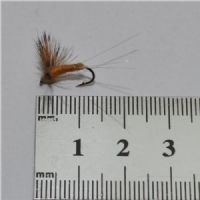 DRY0621 - Compara Dun Sulph.Str.12<br>