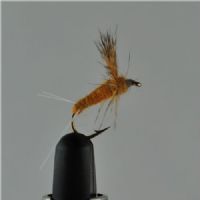 DRY0621 - Compara Dun Sulph.Str.12<br>