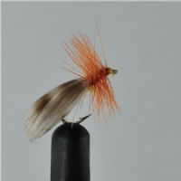 DRY0622 - Europa 12 - Str.14<br>