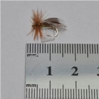 DRY0633 - Europa 12 - Str.16<br>