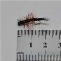 DRY0641 - Dyret The Animal - Str.12<br>