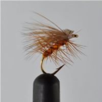 DRY0644 - Elkhair Caddis - Str.14<br>