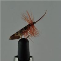 DRY0651 - Tape Wing Sedge - Str.14<br>