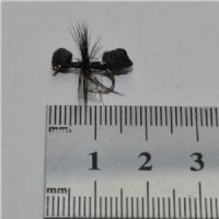 DRY0654 - MCmurram Ant - Str. 12<br>