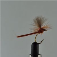 DRY1212 - Cdc Mayfly Extended Body - Str.10<br>